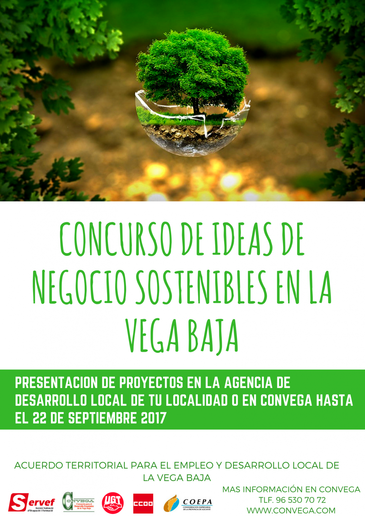 Concurso de ideas de negocio sostenibles en la Vega Baja