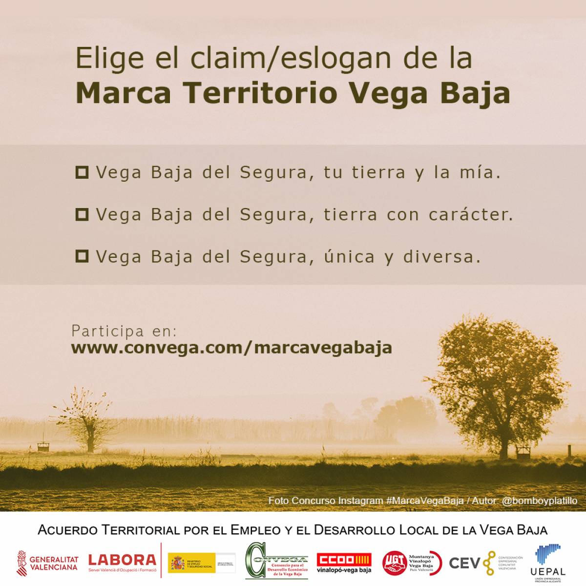 Un eslogan para la marca Vega Baja
